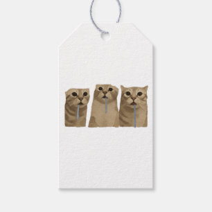 Étiquettes-cadeau Mème des triples chats idiots baveux