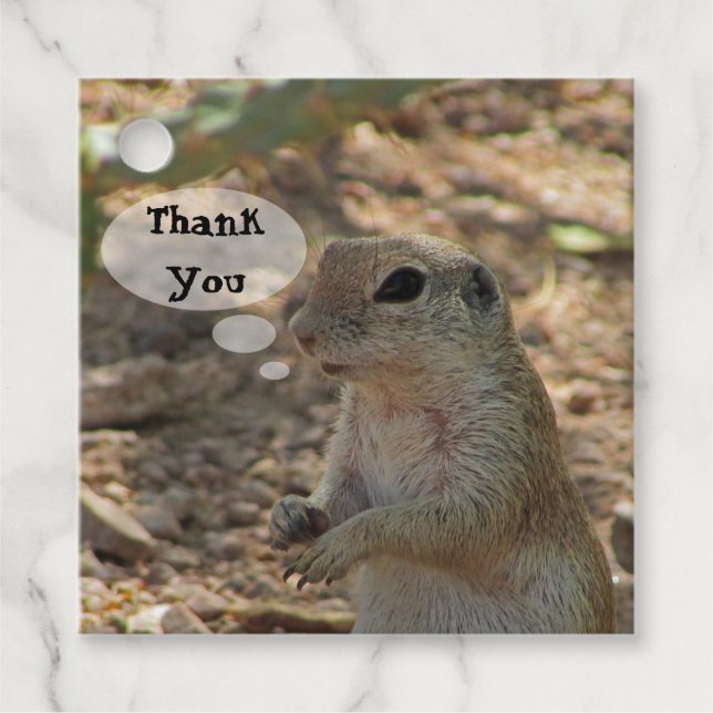 Étiquettes Cadeau Merci écureuil de sol Photo Animal du désert (Devant)