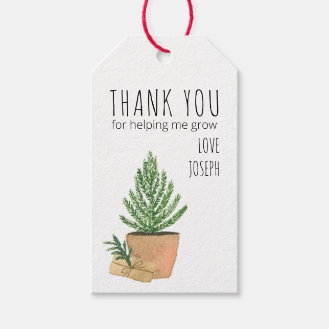 Étiquettes-cadeau Merci pour m'aider à grandir Poted Fir Tree (Devant)