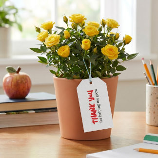 Étiquettes-cadeau Merci Professeur De M'avoir Aidée à Grandir Signé