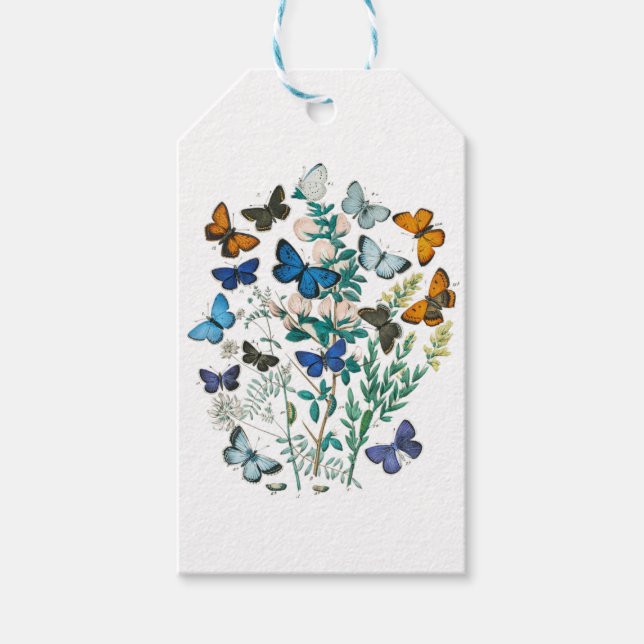 Étiquettes-cadeau Monarch Butterfly - Aesthetic Butterflies (Devant)