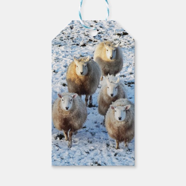 Étiquettes-cadeau Mouton (Devant)