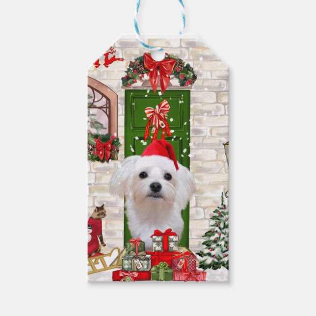 Étiquettes-cadeau Noël de chien maltais (Devant)