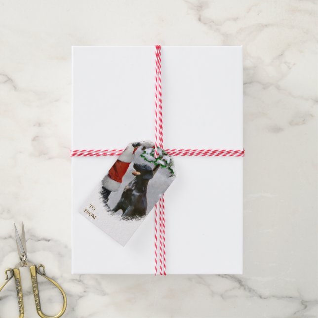 Étiquettes-cadeau Noël du réparateur à couche plate (Avec de la ficelle)