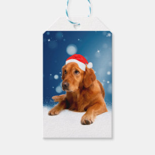 Étiquettes-cadeau Noël Mignonne Golden Retriever Chien Santa Hat Nei