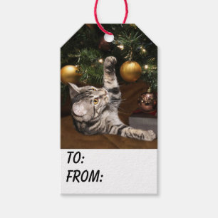 Étiquettes-cadeau Noël tigré de chat de minou