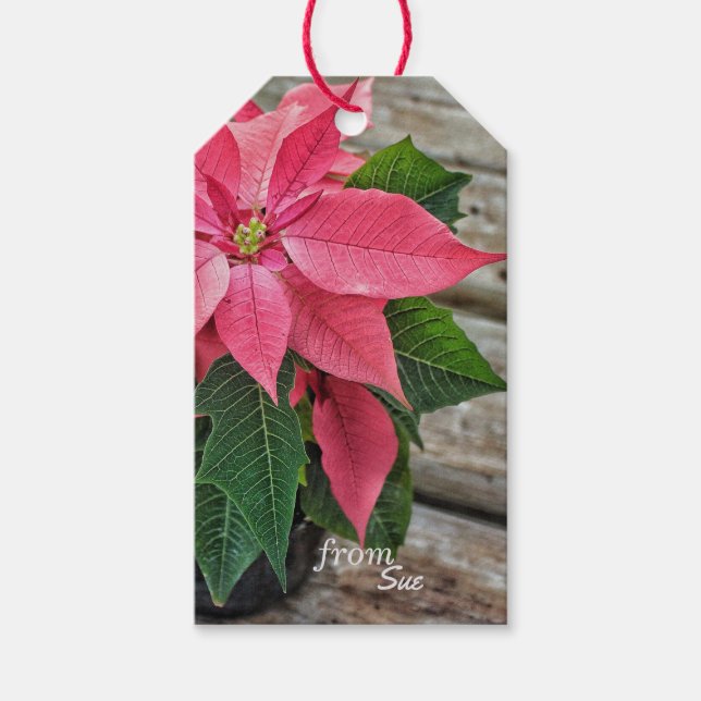 Étiquettes-cadeau Nom personnalisé Mots clés-cadeaux Rustic Poinsett (Devant)