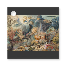 Océan Monde, Sous la mer, Nautique