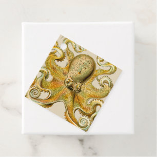 Étiquettes Cadeau Octopus illustration antique monstre marin