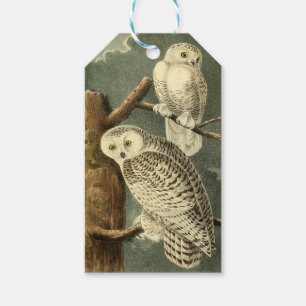 Étiquettes-cadeau OEuvre d'OEuf Audubon