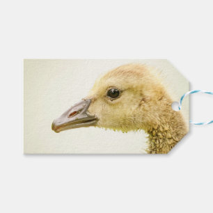 Étiquettes-cadeau Oie canadienne (Gosling)