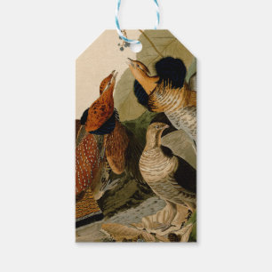 Étiquettes-cadeau Oiseau de gibier Audubon