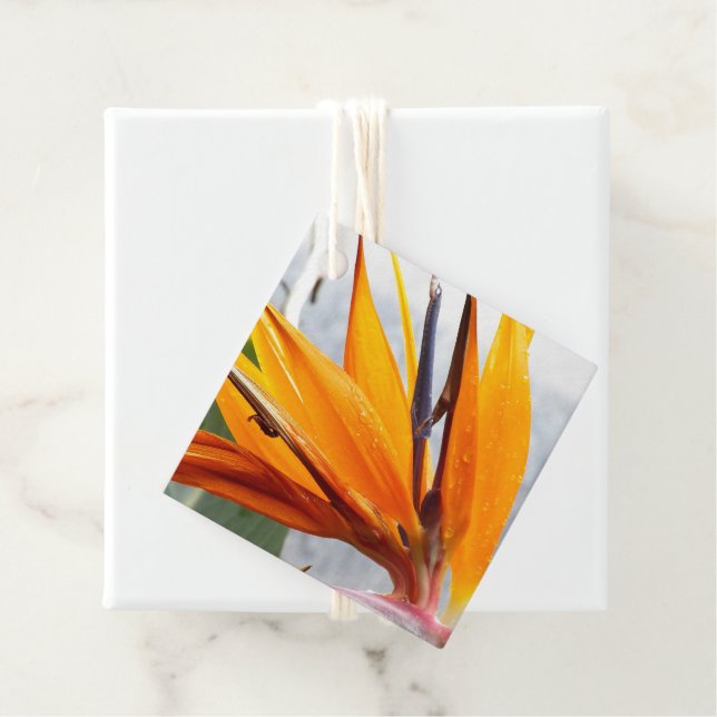 Étiquettes Cadeau Oiseau tropical du Paradis Mariage floral (En situation)
