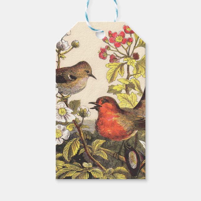 Étiquettes-cadeau Oiseaux de printemps Robin Oiseaux rouges (Devant)