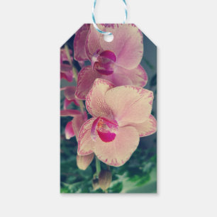 Étiquettes-cadeau Orchid phalaenopsis ppolka dot pink flowers