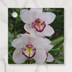 Étiquettes Cadeau Orchidées blanches Belles fleurs tropicales