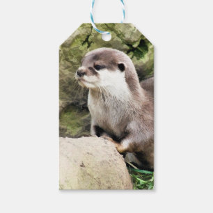 ÉTIQUETTES-CADEAU OTTER