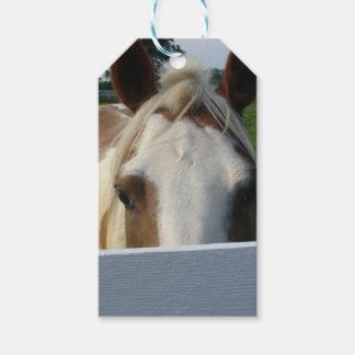 Étiquettes-cadeau Palomino Cheval Cache Derrière Clôture