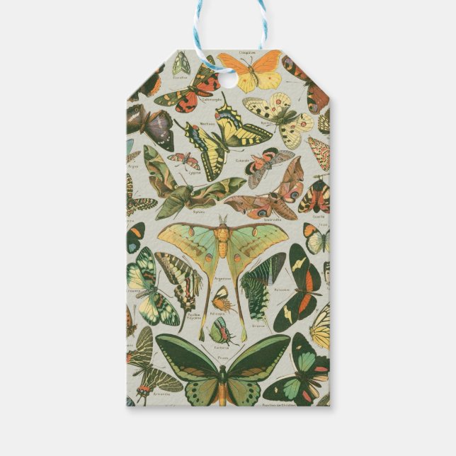 Étiquettes-cadeau Papillons Vintages papillons d'antiquités Art (Devant)
