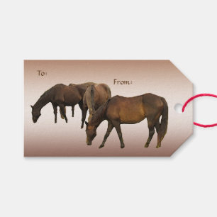 Étiquettes-cadeau Pâturage du paquet de chevaux d'étiquettes de
