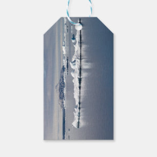Étiquettes-cadeau Paysage antarctique
