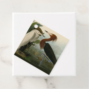 Étiquettes Cadeau Peinture de la faune d'Audubon Heron violet