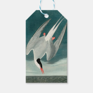 Étiquettes-cadeau Peinture de la faune de la sterne de l'Arctique Au