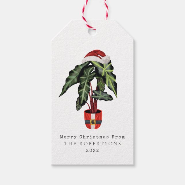 Étiquettes-cadeau Père Noël Plante Noël (Devant)