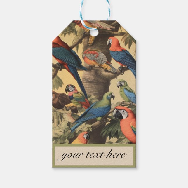 Étiquettes-cadeau perroquets de scène botanique vintage personnalisa (Devant)