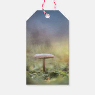 Étiquettes-cadeau Petite photo de la nature des champignons
