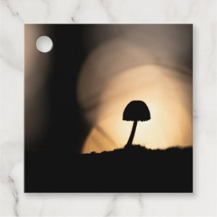 Étiquettes Cadeau Petite photo de la nature des champignons