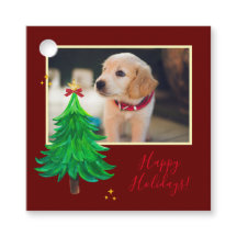 PHOTO animal de compagnie de noël de chien personn