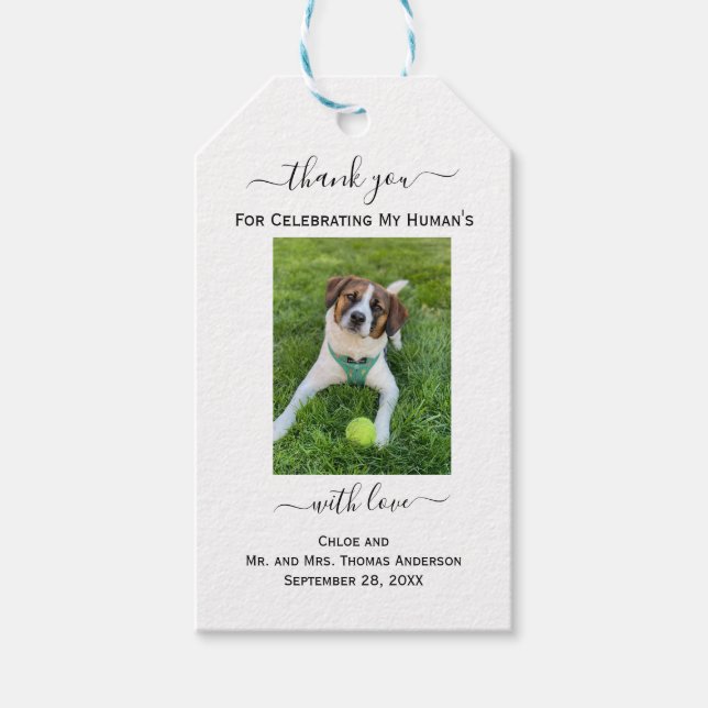 Étiquettes-cadeau Photo de chat de chien Mon Mariage de Merci de l'h (Devant)