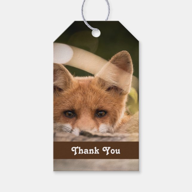 Étiquettes-cadeau Photo de Cute Little Orange Fox (Devant)
