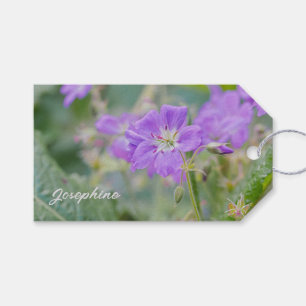 Étiquettes-cadeau Photo de géranium sauvage fleur de lilas botanique