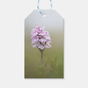 Étiquettes-cadeau Photo de la nature orchidée