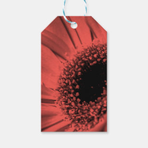 Étiquettes-cadeau Photo, macro