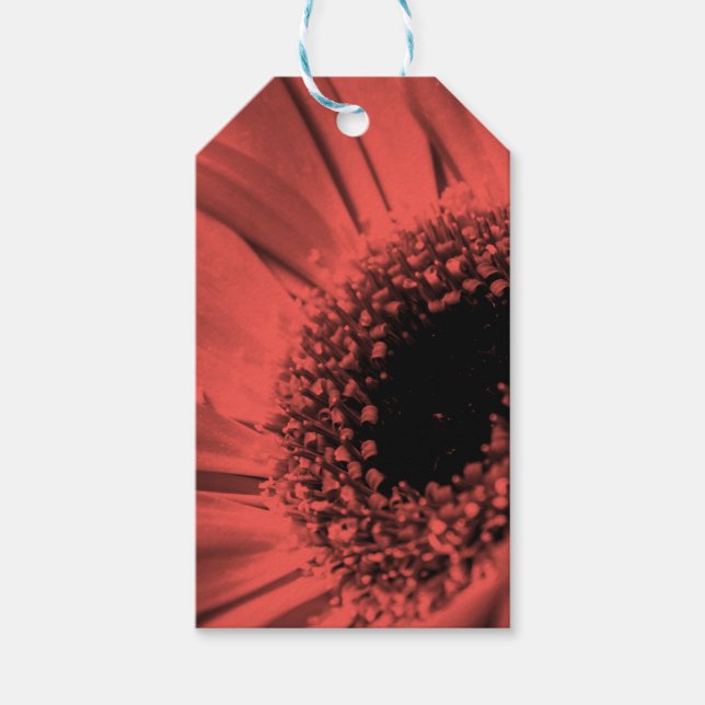 Étiquettes-cadeau Photo, macro (Devant)