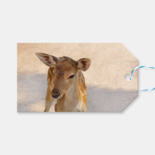 Étiquettes-cadeau Photographie de cerfs fantaisistes de la forêt