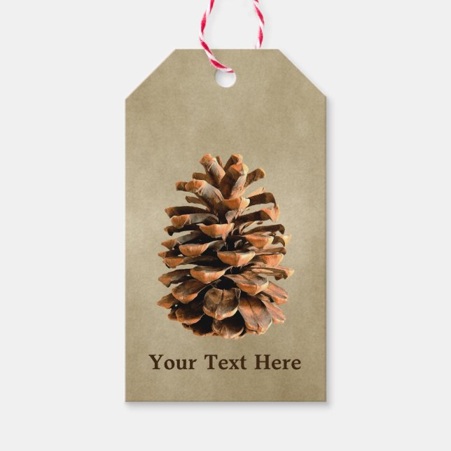 Étiquettes-cadeau Pine Cône Sur Papier Brown (Devant)