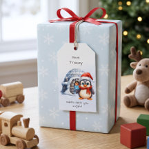 Pingouins de chapeau de Santa Cruz Noël aux enfant