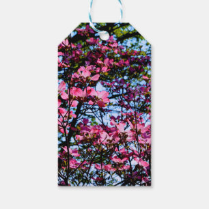 Étiquettes-cadeau Pink flowering Dogwood tree