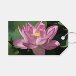 Étiquettes-cadeau Pink Lotus Flower IV