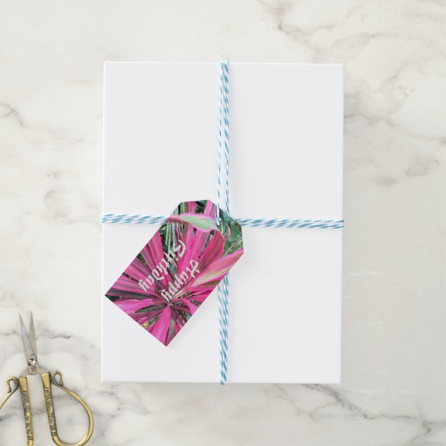 Étiquettes-cadeau Plante de bonne chance rose (Avec de laficelle)
