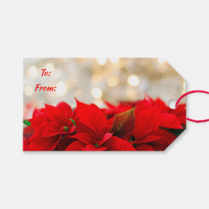 Étiquettes-cadeau Poinsettias