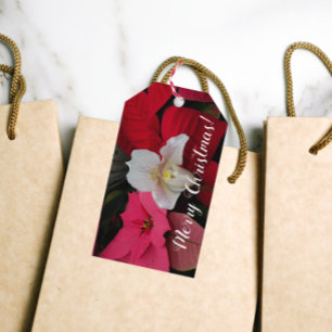 Étiquettes-cadeau Poinsettias Rouges et Orchidée Cypripède de Noël