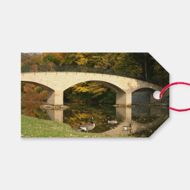 Étiquettes-cadeau Pont Rainbow à l'automne au Grove City College (Devant (Horizontal))
