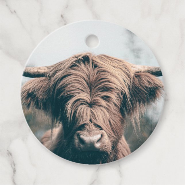 Étiquettes Cadeau Portrait de vache Highland (Devant)