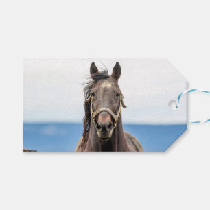 Étiquettes-cadeau Portrait d'un cheval
