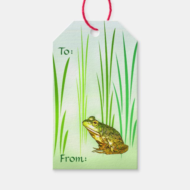 Étiquettes-cadeau Princesse Charming Frog Pack de cadeaux Tags (Devant)
